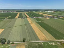 REMAX-EXPERTS-I-508/3953/OGS - zdjęcie nr 4