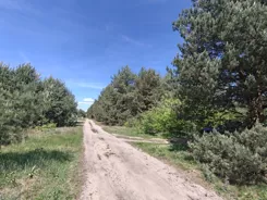 REMAX-SMART-I-411/7675/OGS - zdjęcie nr 0