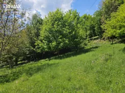 REMAX-145-GS-INVEST - zdjęcie nr 2
