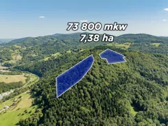 REMAX-202-GS-DUO001 - zdjęcie nr 1