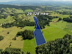 REMAX-143-GS-DUO001 - zdjęcie nr 1