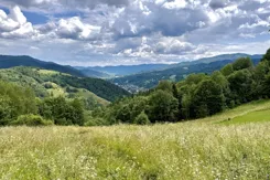 REMAX-2943/2680/OGS - zdjęcie nr 3