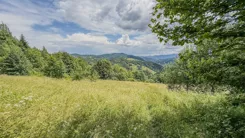 REMAX-2943/2680/OGS - zdjęcie nr 4