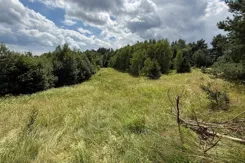 REMAX-2945/2680/OGS - zdjęcie nr 4