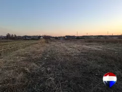 REMAX-117/5552/OGS - zdjęcie nr 3