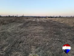 REMAX-117/5552/OGS - zdjęcie nr 4