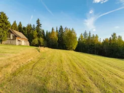 REMAX-211-GS-DUO001 - zdjęcie nr 1