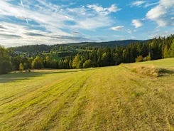 REMAX-211-GS-DUO001 - zdjęcie nr 2