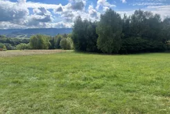 REMAX-487-GS-INVEST - zdjęcie nr 4