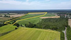 REMAX-131-GS-AMBER - zdjęcie nr 0