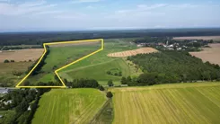 REMAX-131-GS-AMBER - zdjęcie nr 1