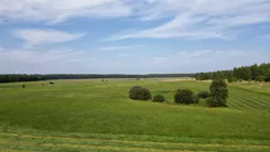REMAX-131-GS-AMBER - zdjęcie nr 4