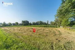 REMAX-282-GS-INVEST - zdjęcie nr 2