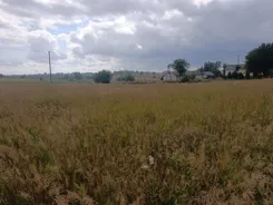 REMAX-5-GS-4c0MfJ5ZJk - zdjęcie nr 1