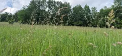REMAX-35-GS-HOMEPRO - zdjęcie nr 3