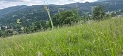 REMAX-35-GS-HOMEPRO - zdjęcie nr 4