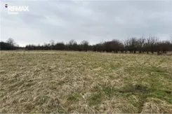 REMAX-5714/3123/OGS - zdjęcie nr 2