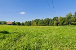 REMAX-2983/2680/OGS - zdjęcie nr 4
