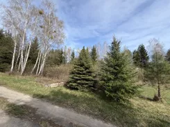 REMAX-919/3992/OGS - zdjęcie nr 2