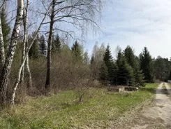 REMAX-919/3992/OGS - zdjęcie nr 3