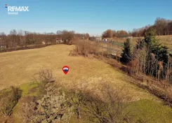 REMAX-6119/3123/OGS - zdjęcie nr 0