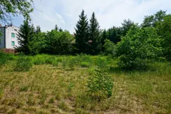 REMAX-1840/2037/OGS - zdjęcie nr 4