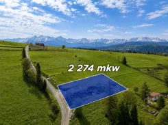 REMAX-3190/2680/OGS - zdjęcie nr 0