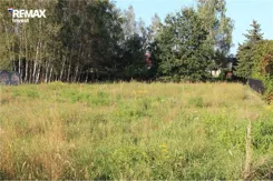 REMAX-6010/3123/OGS - zdjęcie nr 1