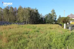 REMAX-6012/3123/OGS - zdjęcie nr 1