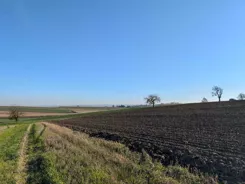 REMAX-IMPACT-I-12/15977/OGS - zdjęcie nr 1
