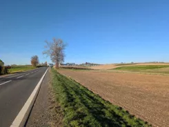 REMAX-IMPACT-I-12/15977/OGS - zdjęcie nr 4