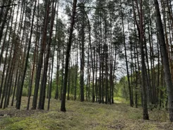REMAX-74-GS-BEST - zdjęcie nr 1