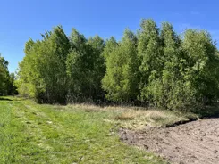 REMAX-74-GS-BEST - zdjęcie nr 2