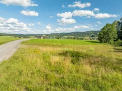 REMAX-83-GS-DUO001 - zdjęcie nr 3