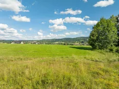 REMAX-83-GS-DUO001 - zdjęcie nr 4