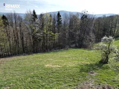 REMAX-6184/3123/OGS - zdjęcie nr 1