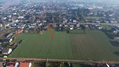 REMAX-EXPERTS-I-399/3953/OGS - zdjęcie nr 0