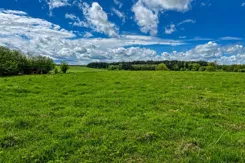 REMAX-3/18399/OGS - zdjęcie nr 4