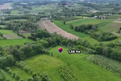 REMAX-18-GS-DUO001 - zdjęcie nr 1