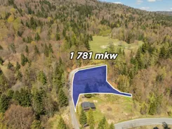 REMAX-3225/2680/OGS - zdjęcie nr 1
