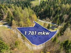 REMAX-3225/2680/OGS - zdjęcie nr 2