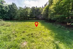 REMAX-77-GS-INVEST - zdjęcie nr 0