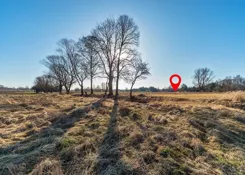 REMAX-3330/2674/OGS - zdjęcie nr 4