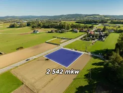 REMAX-229-GS-DUO001 - zdjęcie nr 0