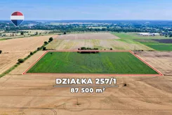 REMAX-37-GS-CBm8VfC6J0 - zdjęcie nr 2