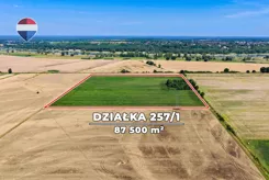REMAX-37-GS-CBm8VfC6J0 - zdjęcie nr 3