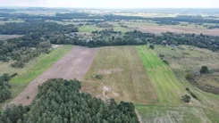 REMAX-494/5569/OGS - zdjęcie nr 4