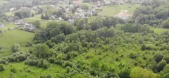 REMAX-13-GS-DUO001 - zdjęcie nr 1