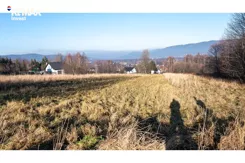 REMAX-6104/3123/OGS - zdjęcie nr 1