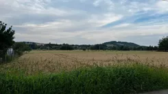 REMAX-15-GS-HOMEPRO - zdjęcie nr 3